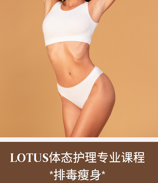 LOTUS体态护理专业课程（排毒瘦身)