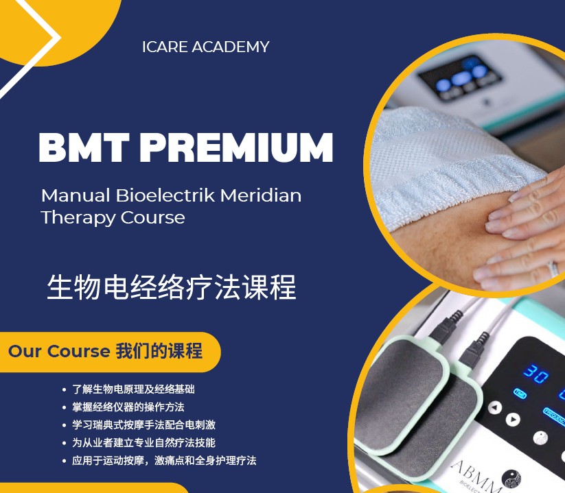 生物电经络疗法课程（Manual Bioelectric Meridian Therapy）